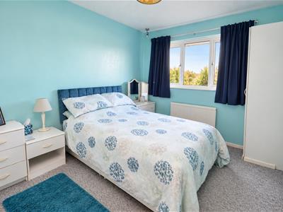 Picture 12